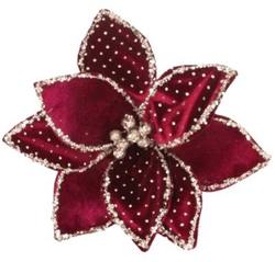 Poinsettia – Burgundy