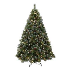 7ft (213cm) Westminster Pine with Berries with  Warm White Lights