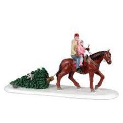 Tree  Tradition