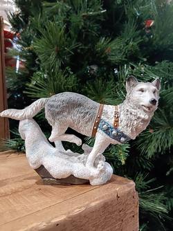 Wolf with Blue Harness