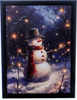 Snowman Fibre Optic