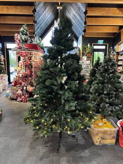 SECOND - 8 FT MAJESTIC PINE - Prelit