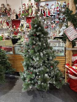 SECOND - 6 FT WESTMINSTER PINE