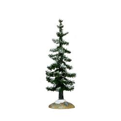 Blue Spruce Tree - Small