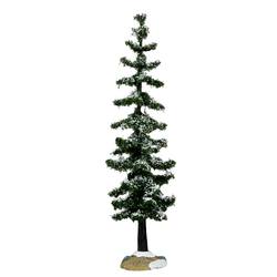 Blue Spruce Tree  - Large