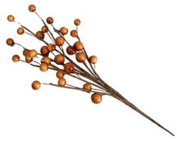 Brown Berry Pick