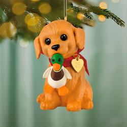 2026 Golden Retriever 36th in the Puppy Love Series
