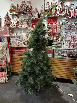 SECOND - 6 FT MAJESTIC PINE