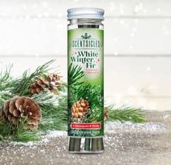 White Winter Fir - Scentsicles Scented Ornament Sticks