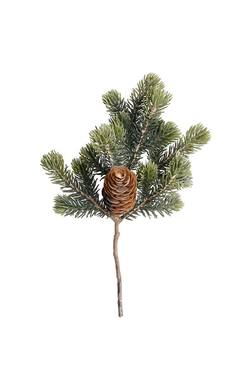 Balsam Fir Spray with Cone