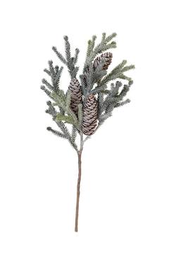 Frosted Alpine Fir Branch with Cones