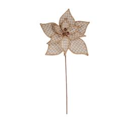 Poinsettia with Bell in Natural Tones